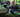 Best Ankle Brace for Hiking