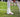 Quinn Ewers Texas Ankle Brace